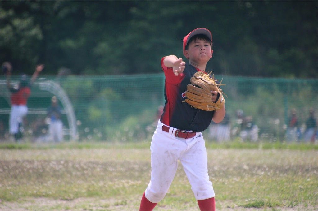 f:id:donagaojisan:20190528155836j:image