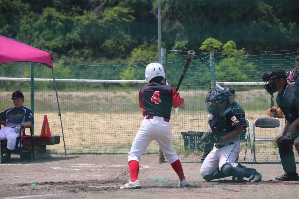f:id:donagaojisan:20190528161152j:image