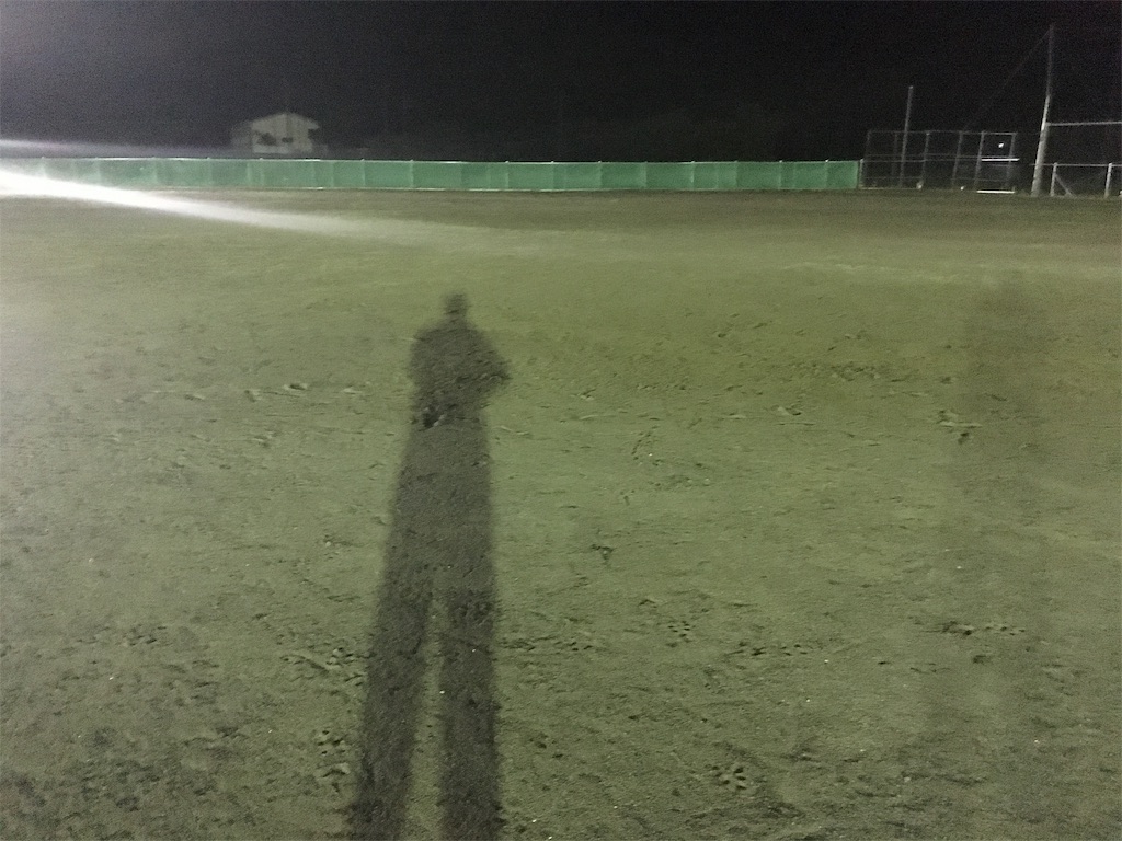 f:id:donagaojisan:20190611215850j:image