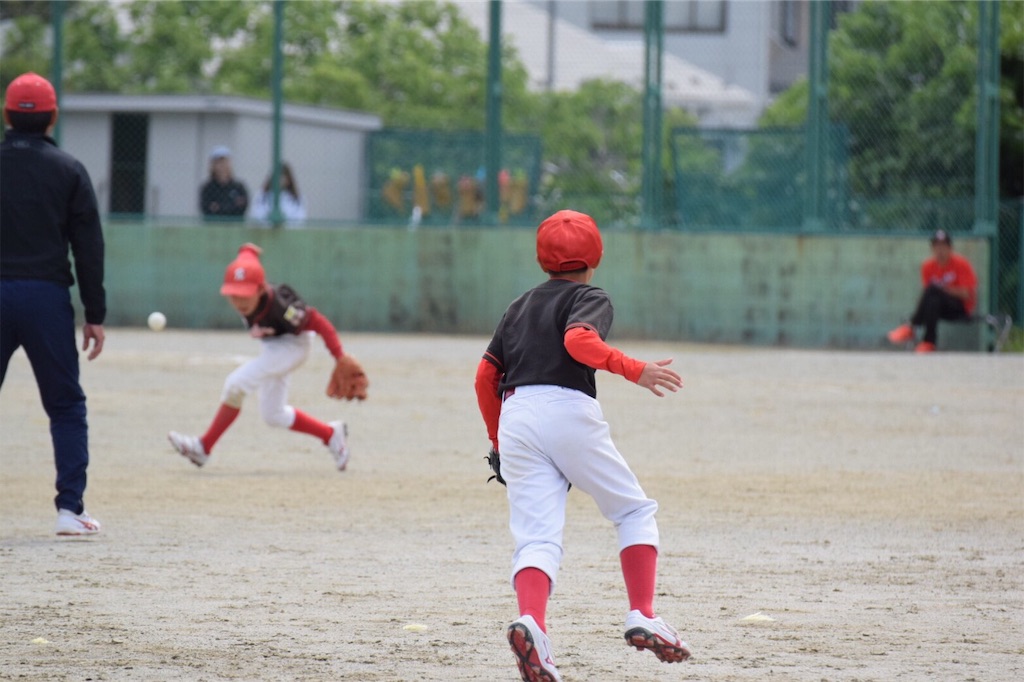 f:id:donagaojisan:20190612201132j:image