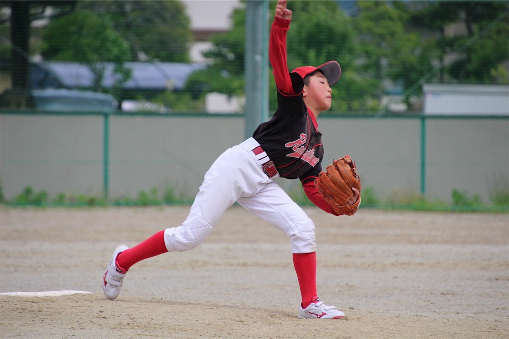 f:id:donagaojisan:20190612201907j:image