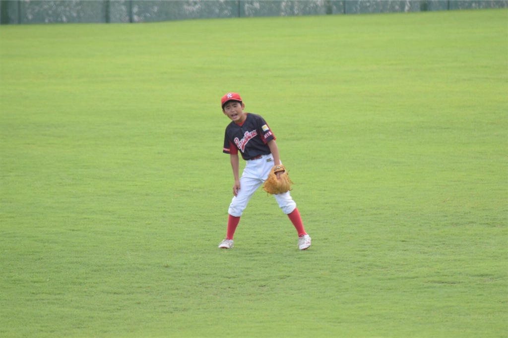 f:id:donagaojisan:20190622185203j:image
