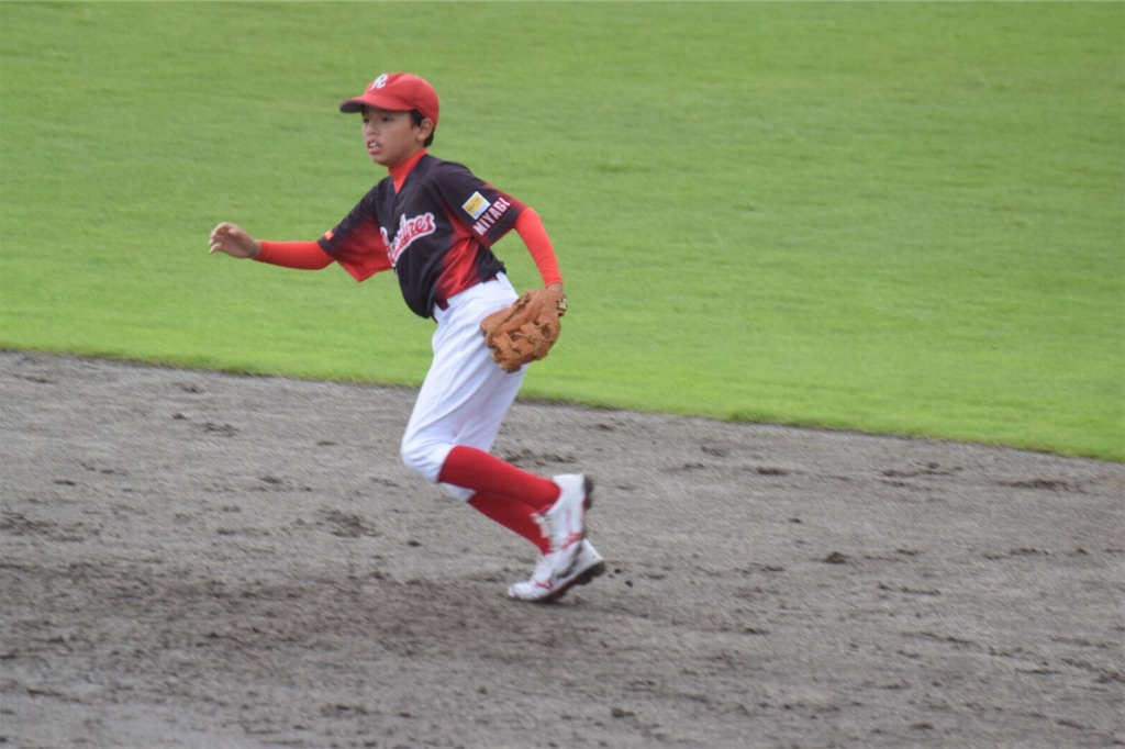 f:id:donagaojisan:20190622185647j:image