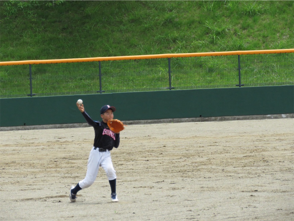 f:id:donagaojisan:20190623181919j:image