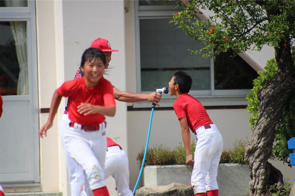 f:id:donagaojisan:20190625164935j:image