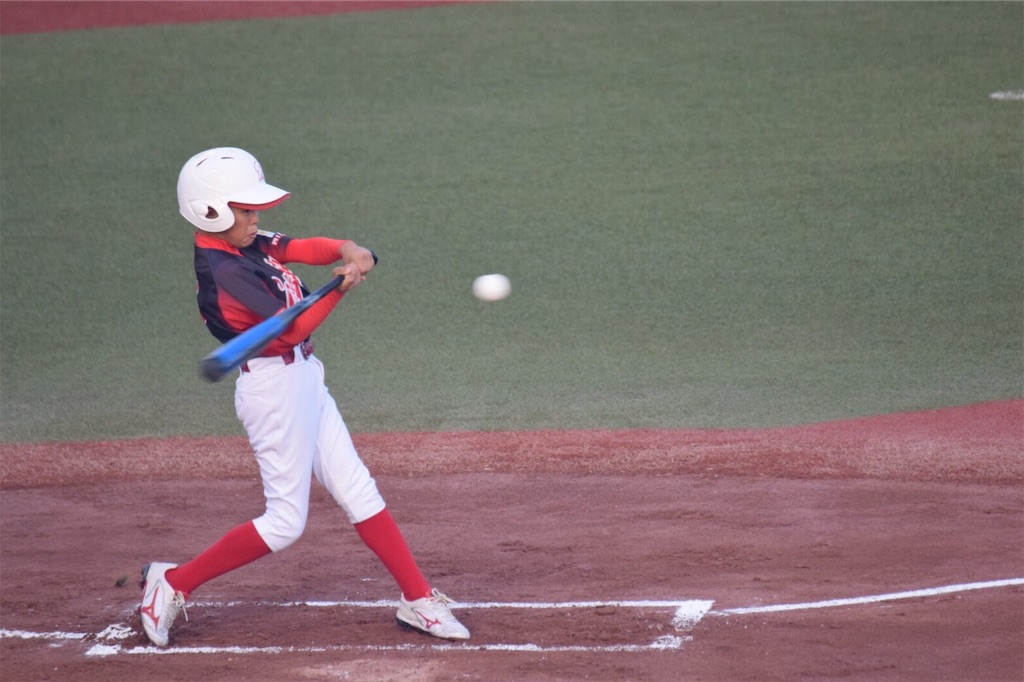 f:id:donagaojisan:20190625235250j:image f:id:donagaojisan:20190625235250j:image