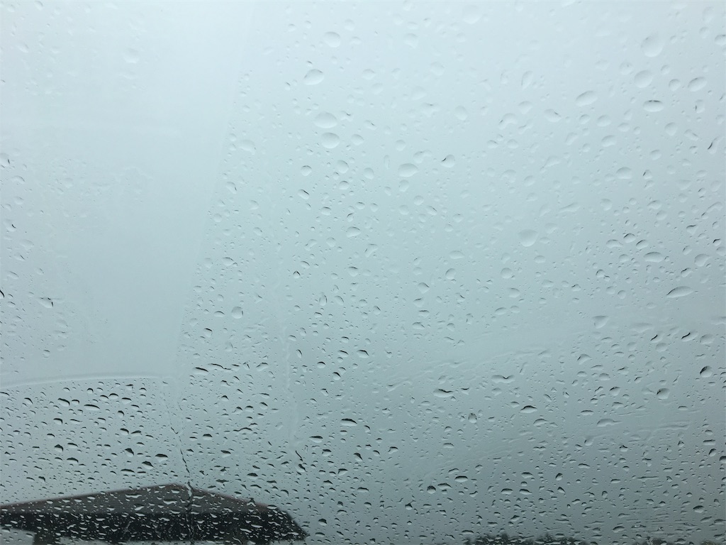 f:id:donagaojisan:20190630232905j:image