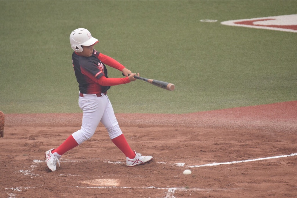 f:id:donagaojisan:20190706210509j:image