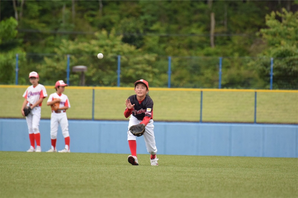 f:id:donagaojisan:20190706210512j:image