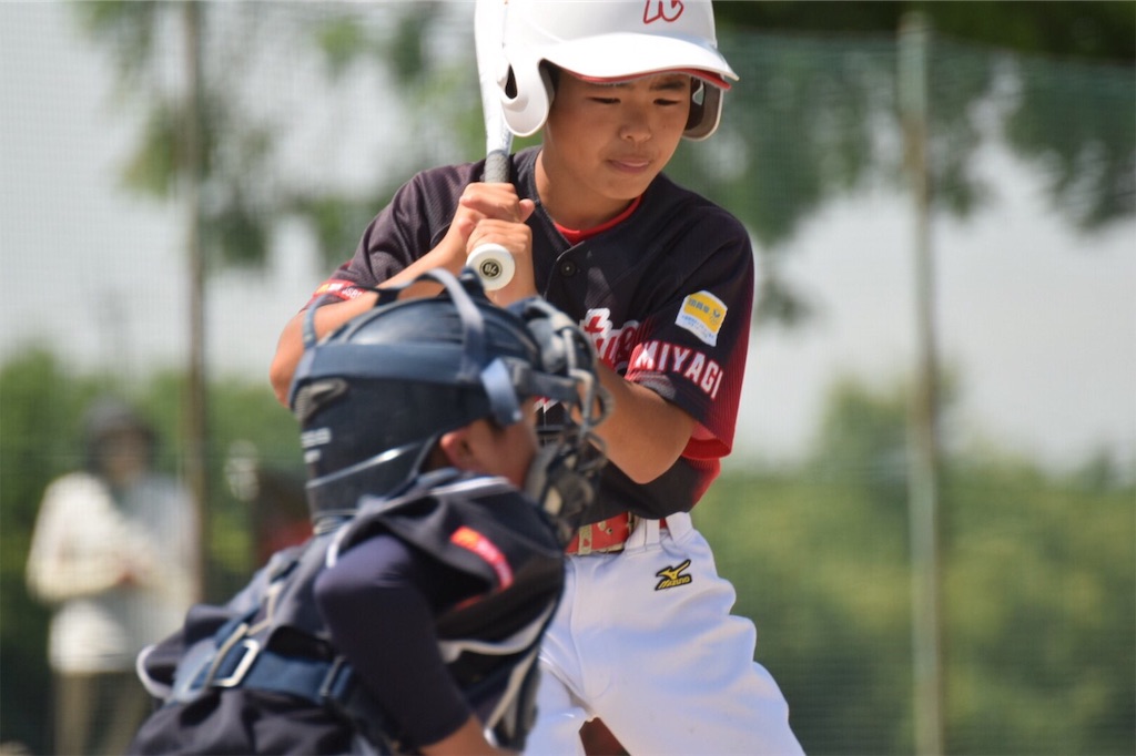 f:id:donagaojisan:20190720232259j:image
