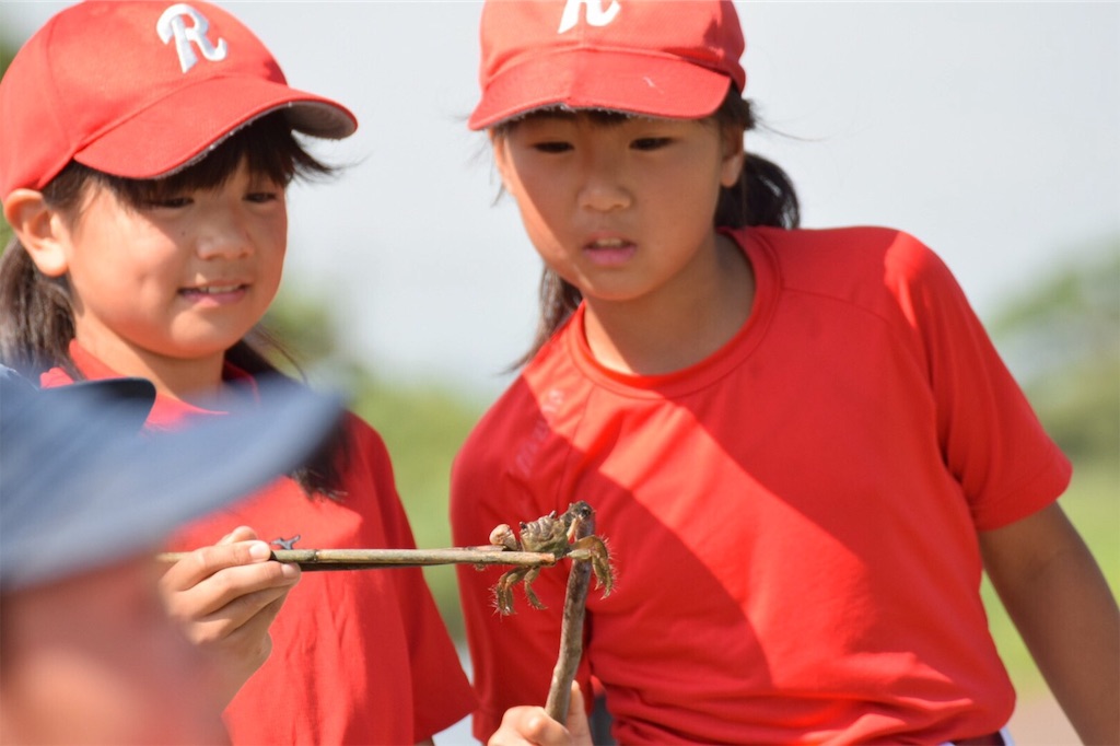 f:id:donagaojisan:20190720232935j:image