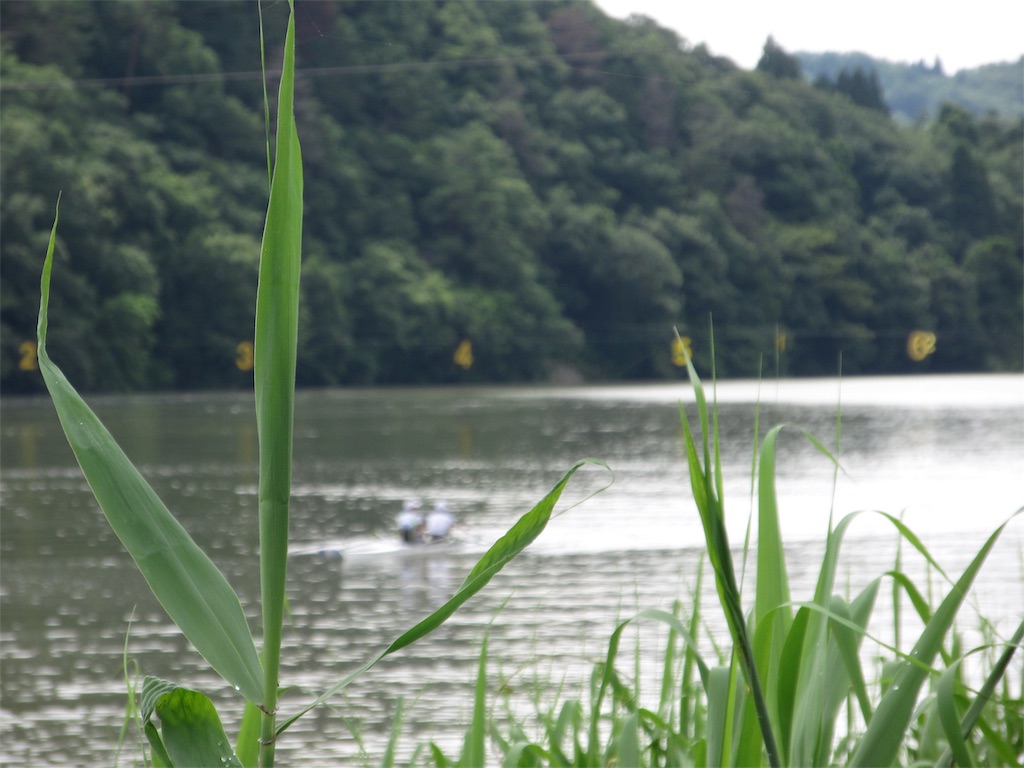f:id:donagaojisan:20190721172553j:image