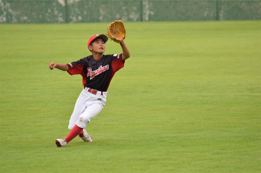 f:id:donagaojisan:20190812232434j:image