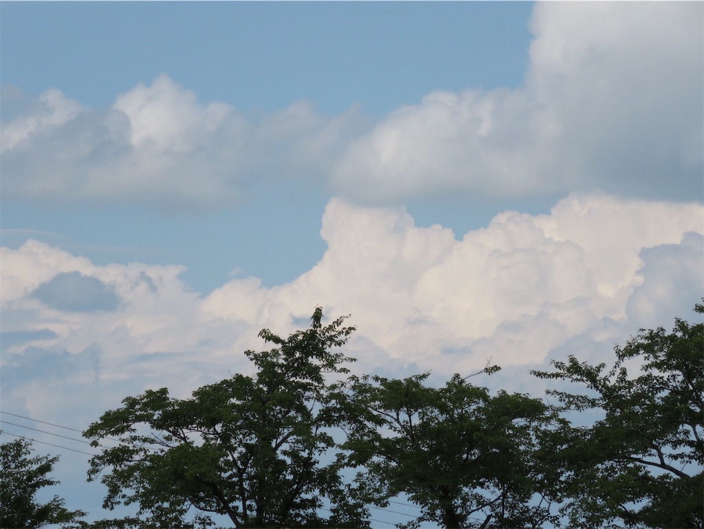 f:id:donagaojisan:20190827161911j:image f:id:donagaojisan:20190827161911j:image