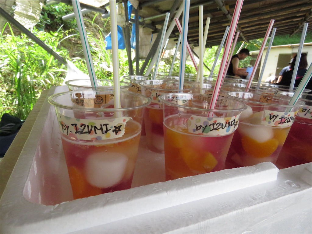 f:id:donagaojisan:20190827162516j:image f:id:donagaojisan:20190827162516j:image