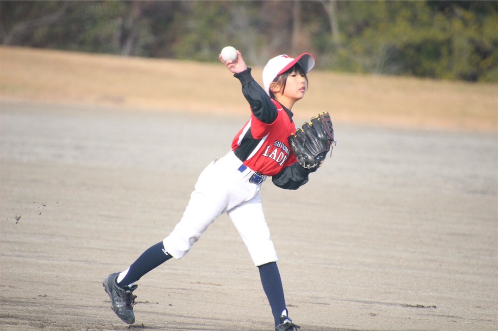 f:id:donagaojisan:20191201233221j:image