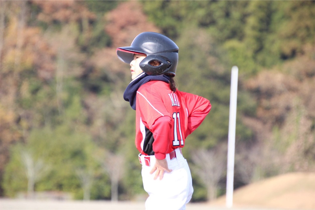 f:id:donagaojisan:20191201233744j:image