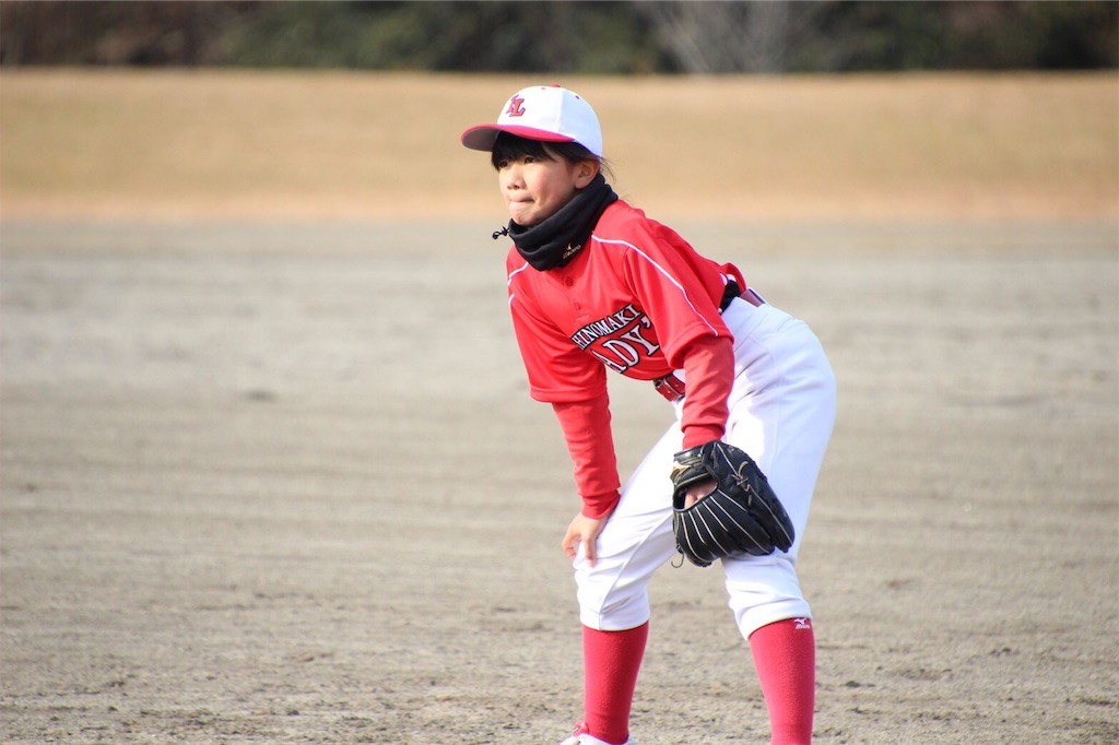 f:id:donagaojisan:20191201234114j:image