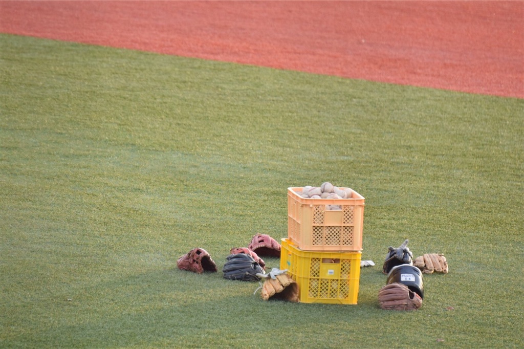 f:id:donagaojisan:20191202161633j:image
