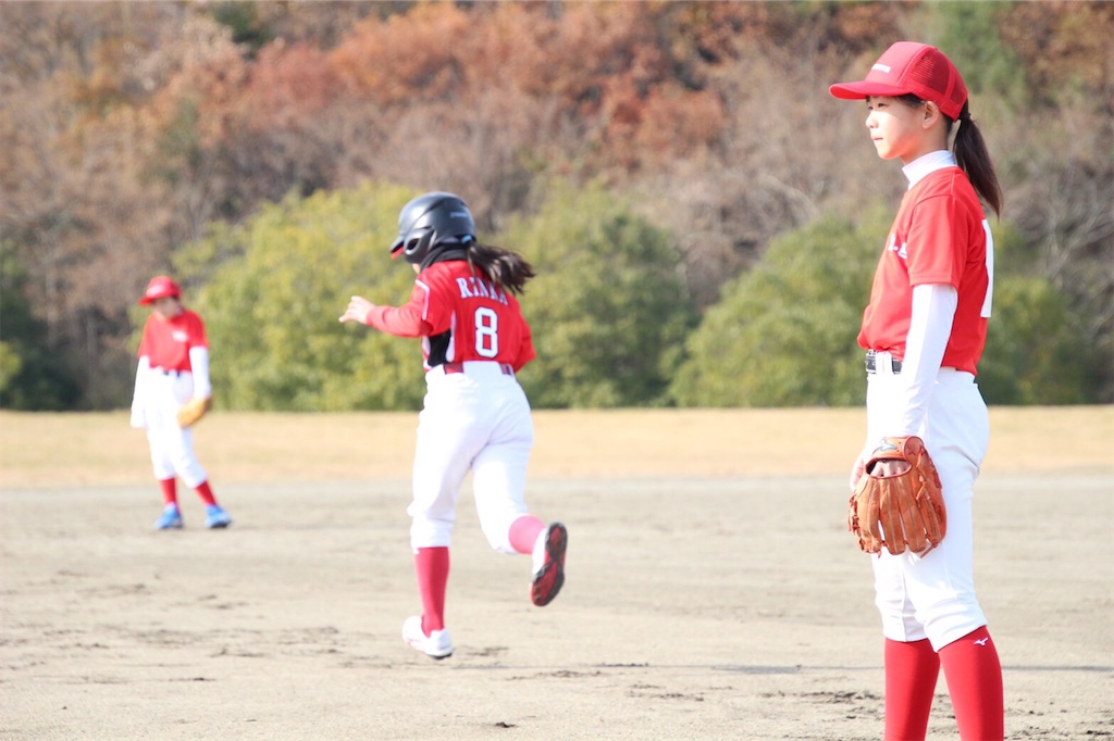 f:id:donagaojisan:20191203230447j:image