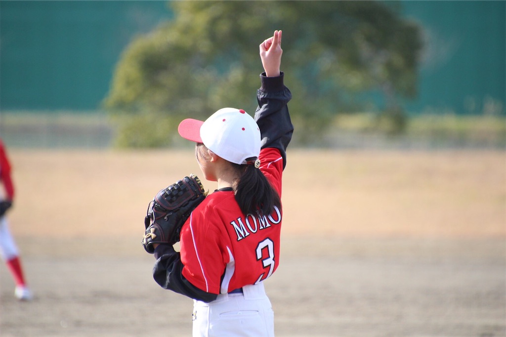 f:id:donagaojisan:20191203230449j:image