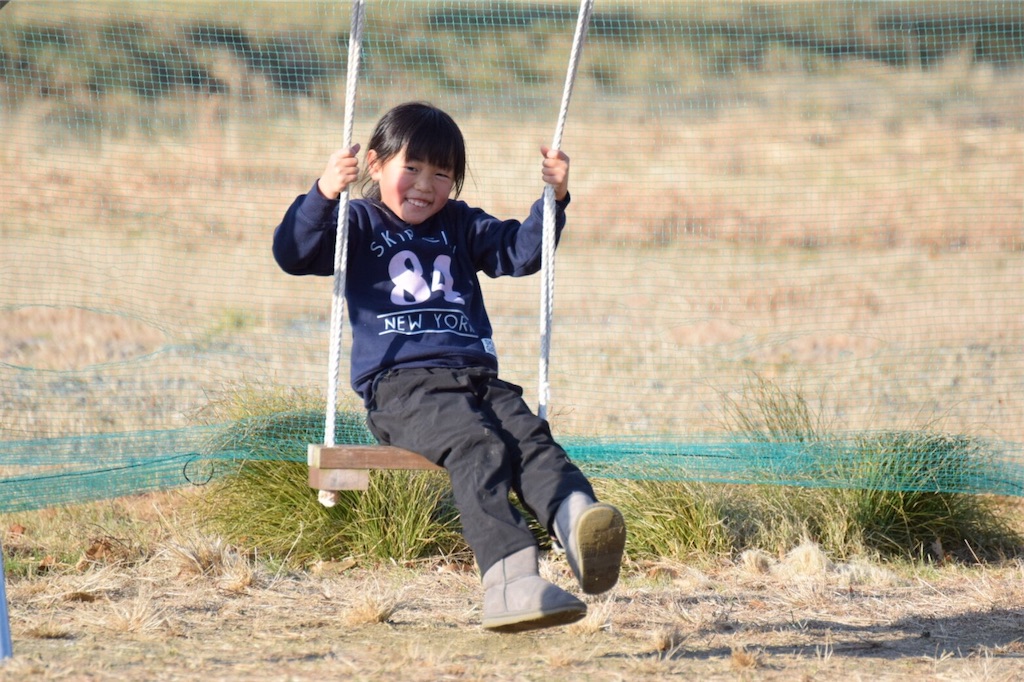 f:id:donagaojisan:20191209235811j:image