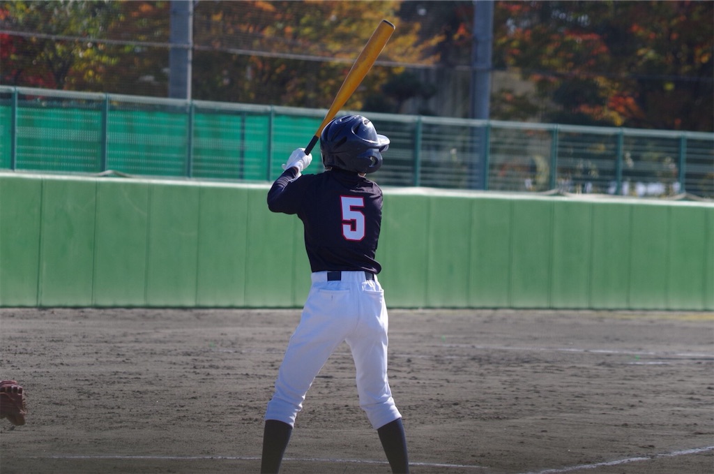 f:id:donagaojisan:20191230190930j:image