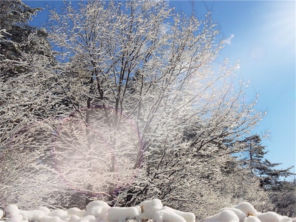 f:id:donagaojisan:20200211205211j:image f:id:donagaojisan:20200211205211j:image