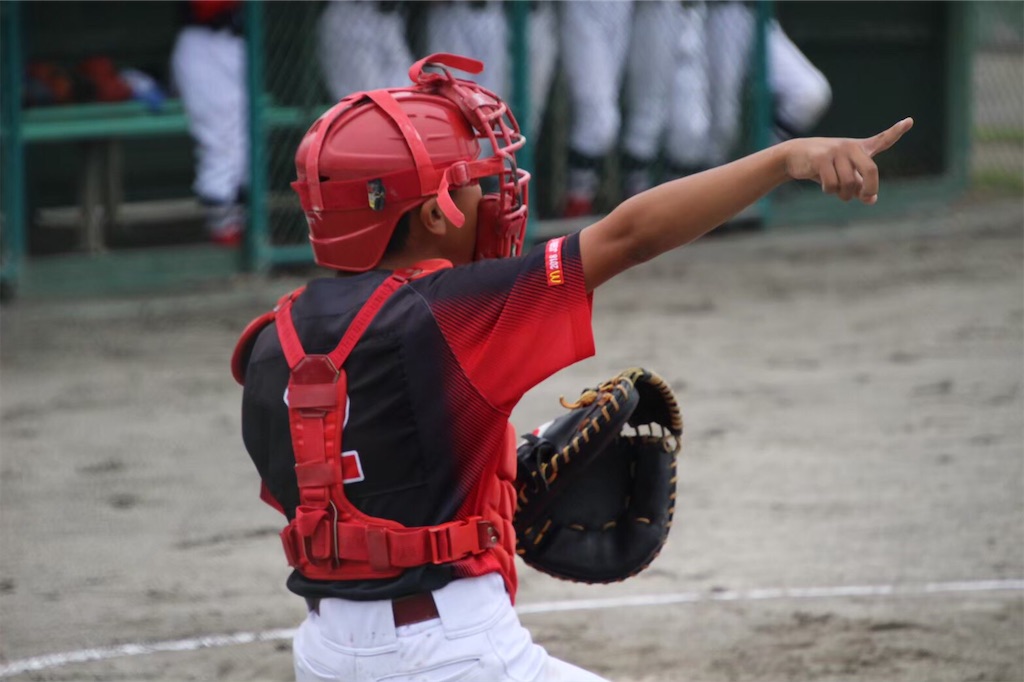 f:id:donagaojisan:20200313104754j:image