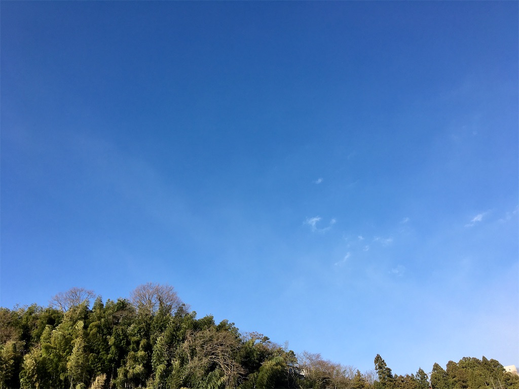 f:id:donagaojisan:20200315224849j:image