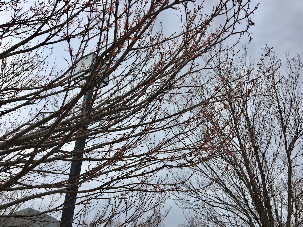 f:id:donagaojisan:20200327210853j:image