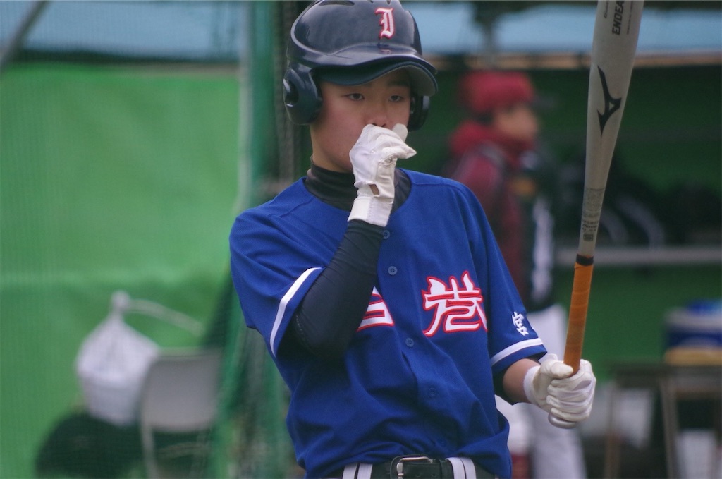 f:id:donagaojisan:20200424205100j:image
