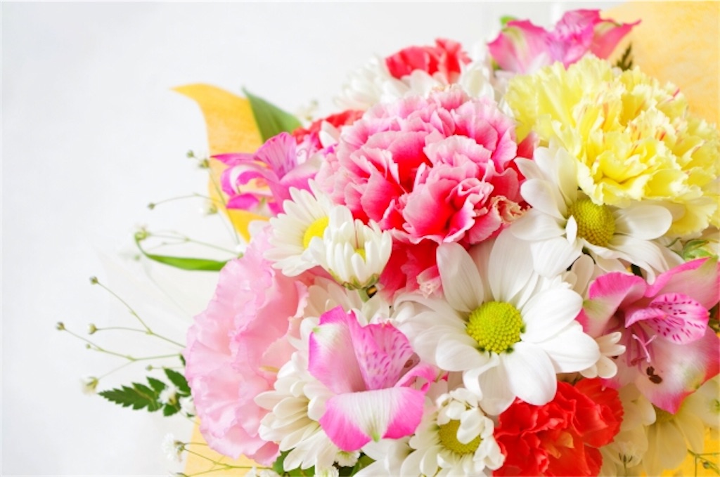 f:id:donagaojisan:20200512193541j:image f:id:donagaojisan:20200512193541j:image