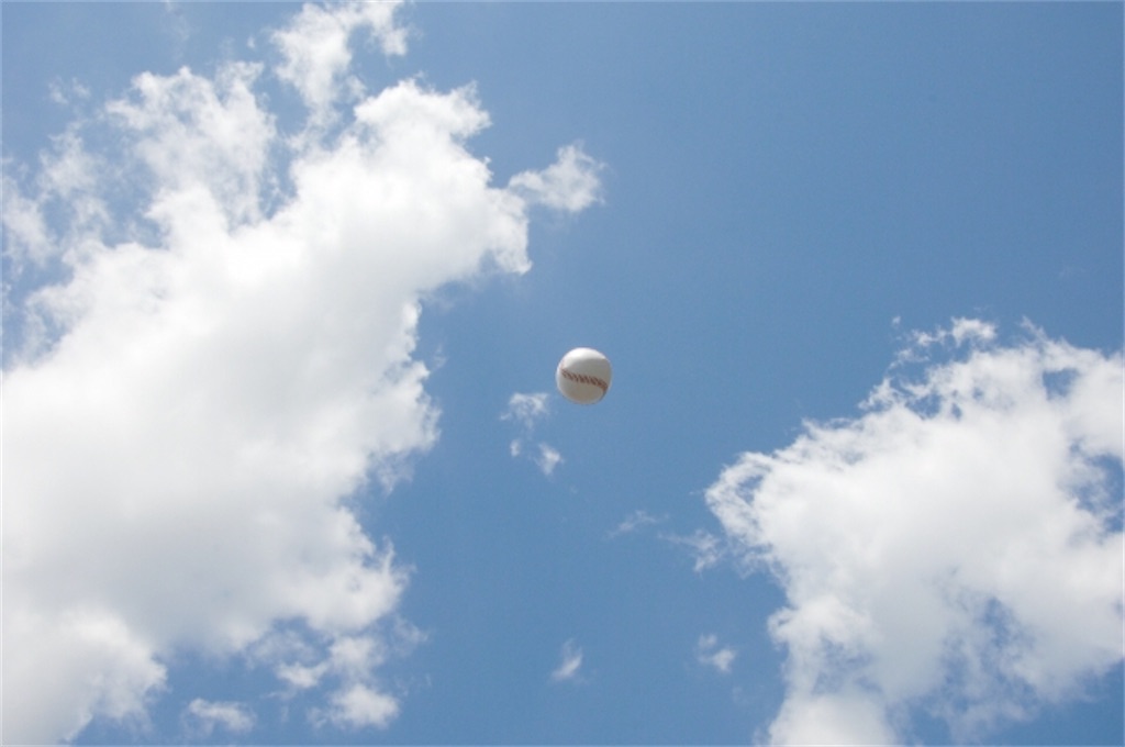 f:id:donagaojisan:20200520211542j:image