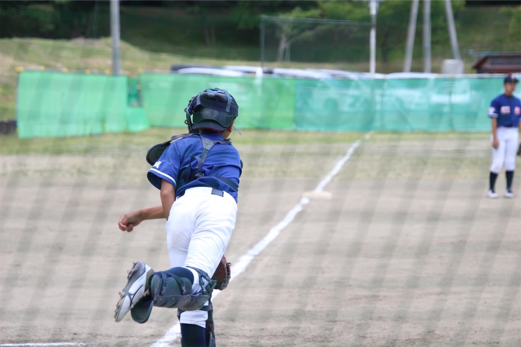 f:id:donagaojisan:20200614184126j:image f:id:donagaojisan:20200614184126j:image