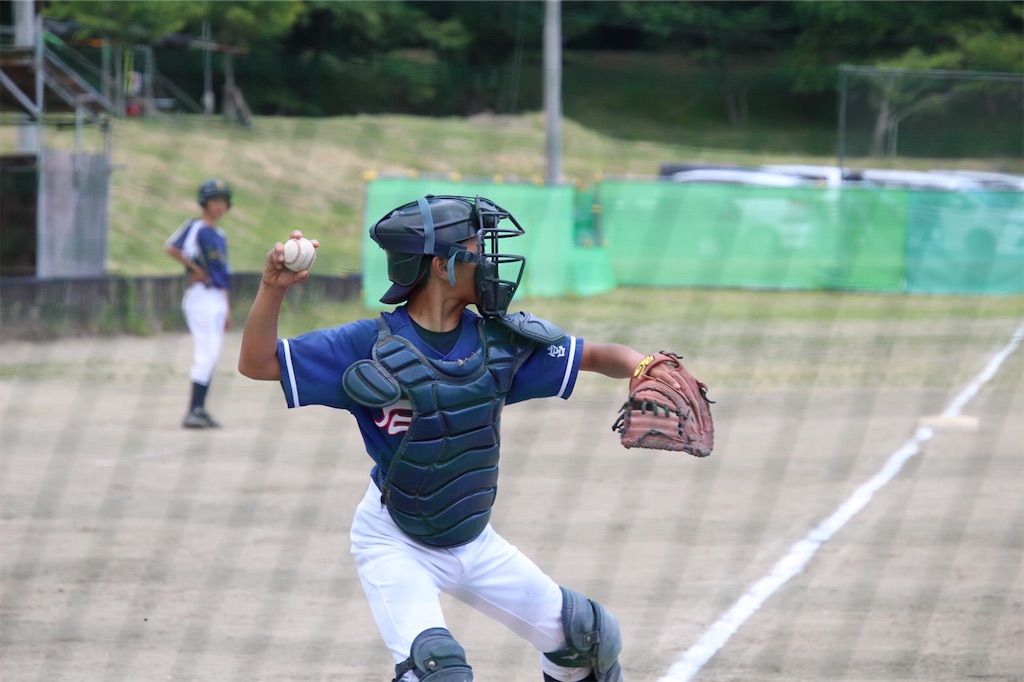 f:id:donagaojisan:20200614184129j:image f:id:donagaojisan:20200614184129j:image