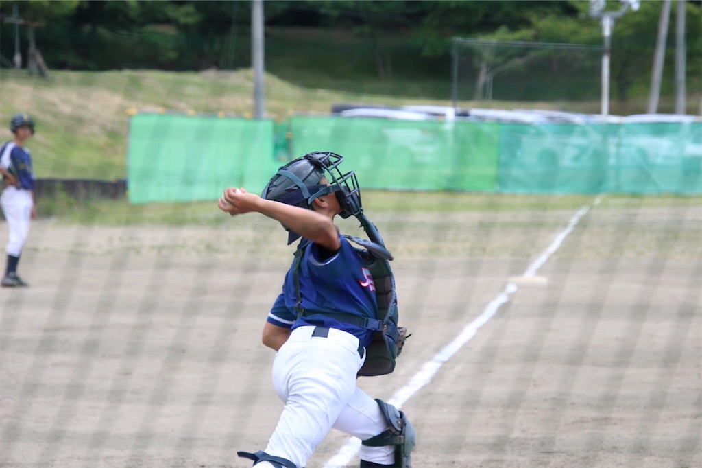 f:id:donagaojisan:20200614184132j:image f:id:donagaojisan:20200614184132j:image