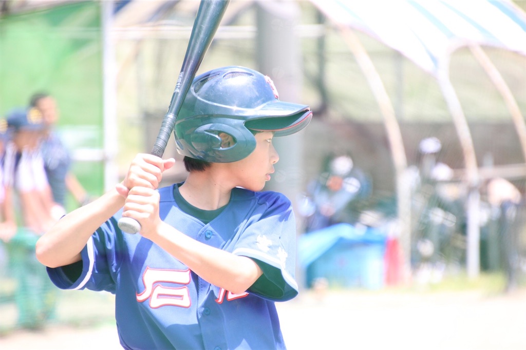 f:id:donagaojisan:20200614185122j:image f:id:donagaojisan:20200614185122j:image