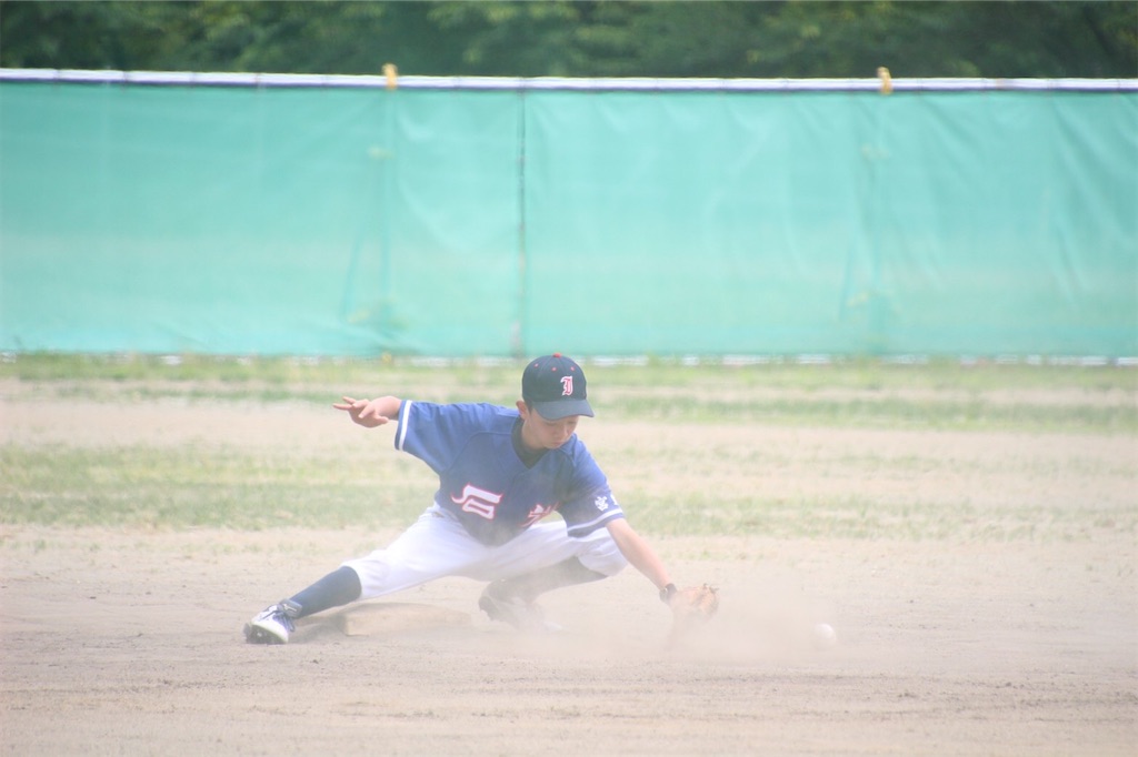 f:id:donagaojisan:20200621205626j:image