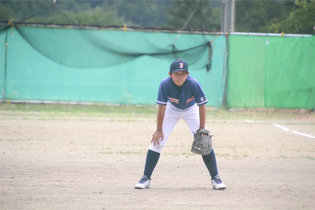 f:id:donagaojisan:20200621205835j:image
