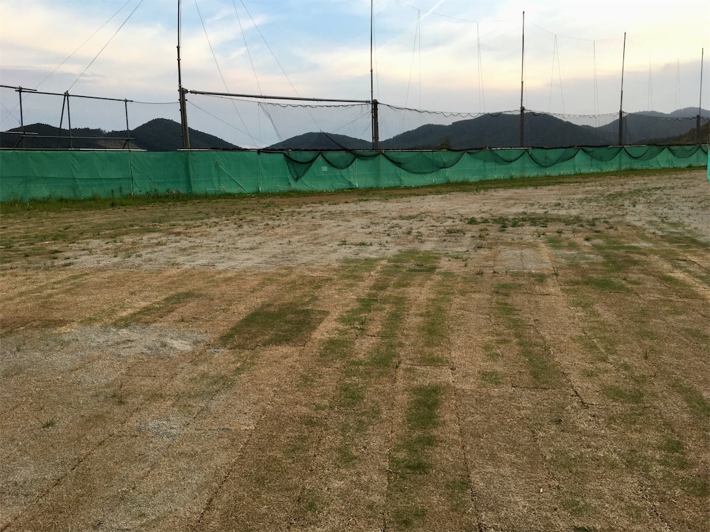 f:id:donagaojisan:20200711183946j:image