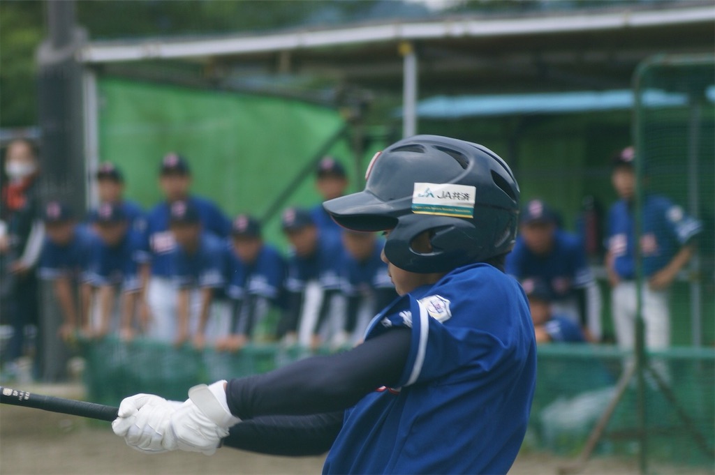 f:id:donagaojisan:20200725230736j:image