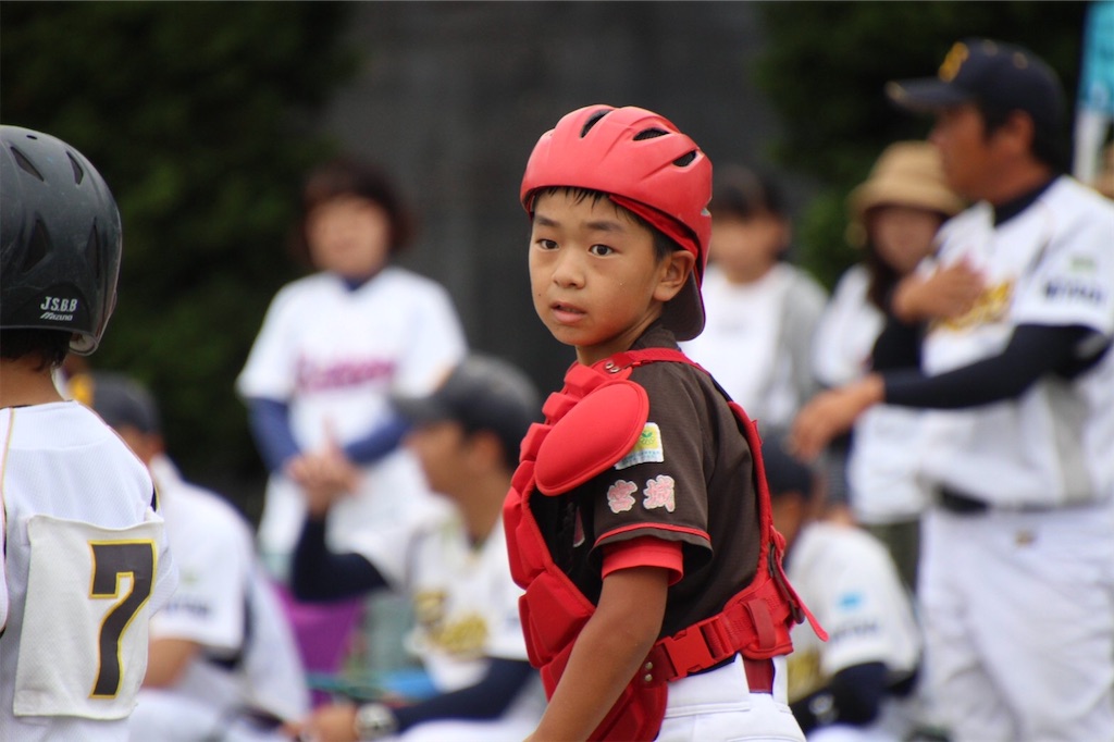 f:id:donagaojisan:20200726230557j:image