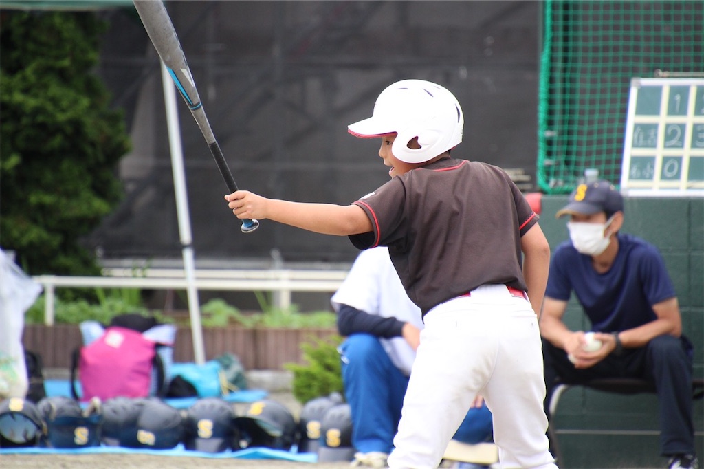 f:id:donagaojisan:20200726231206j:image