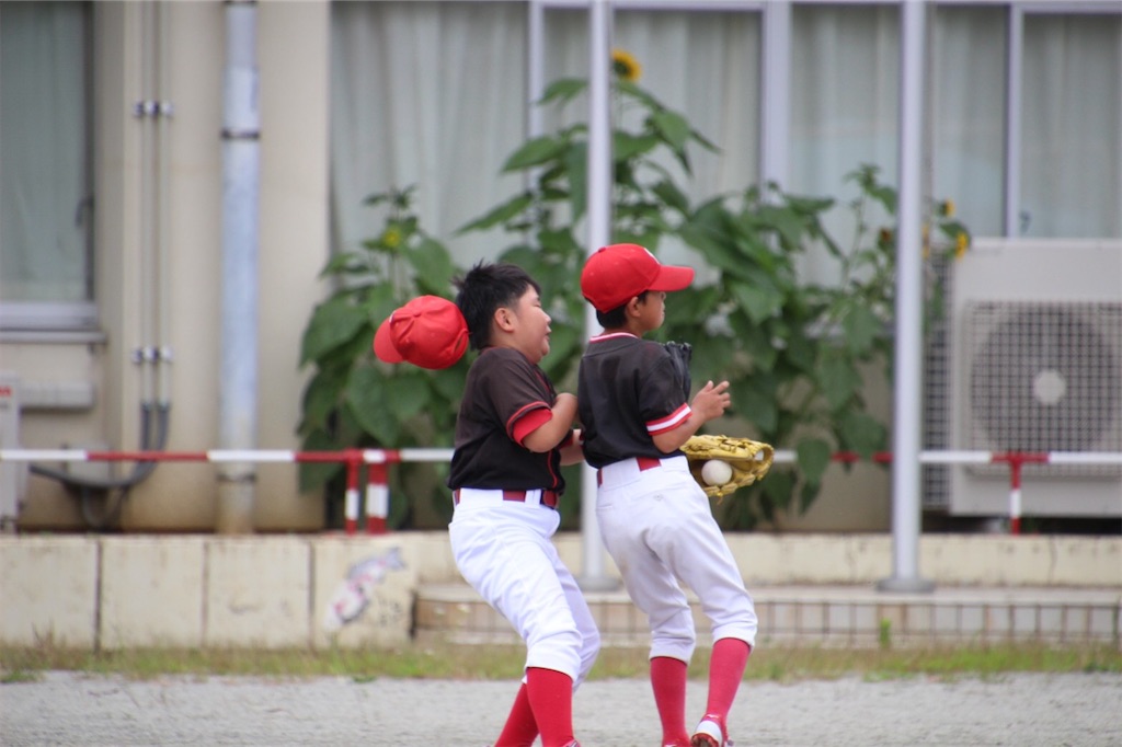 f:id:donagaojisan:20200726233215j:image