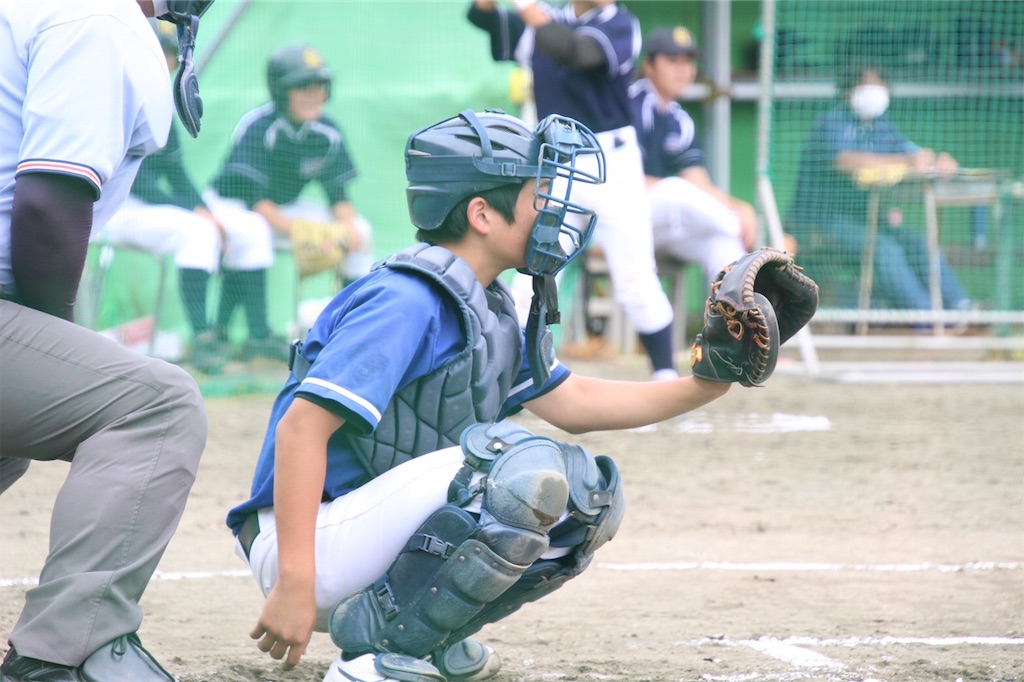 f:id:donagaojisan:20200727130240j:image