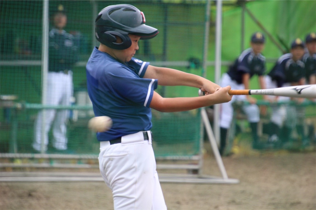 f:id:donagaojisan:20200727130807j:image