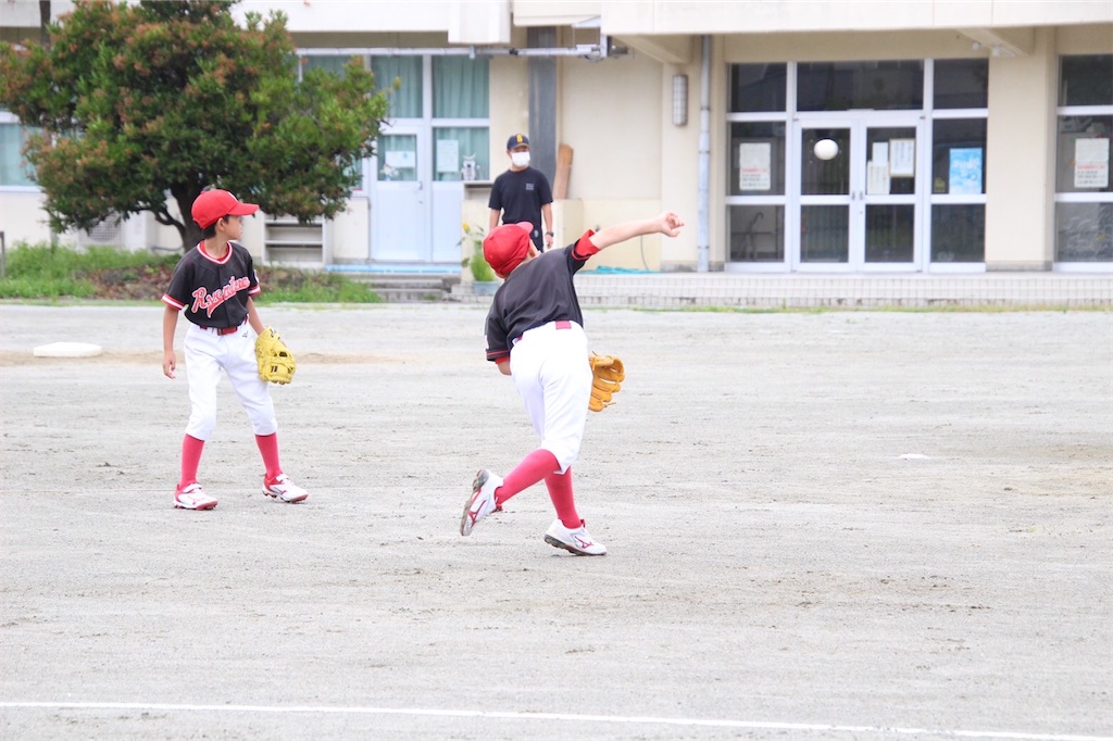 f:id:donagaojisan:20200730213606j:image