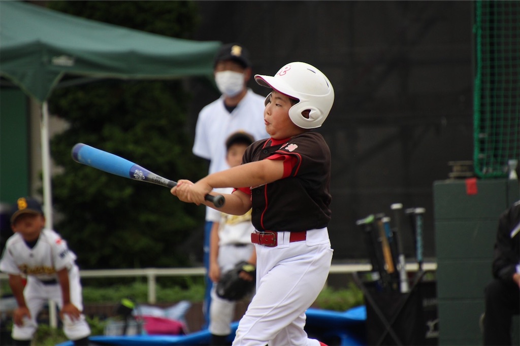 f:id:donagaojisan:20200730214601j:image