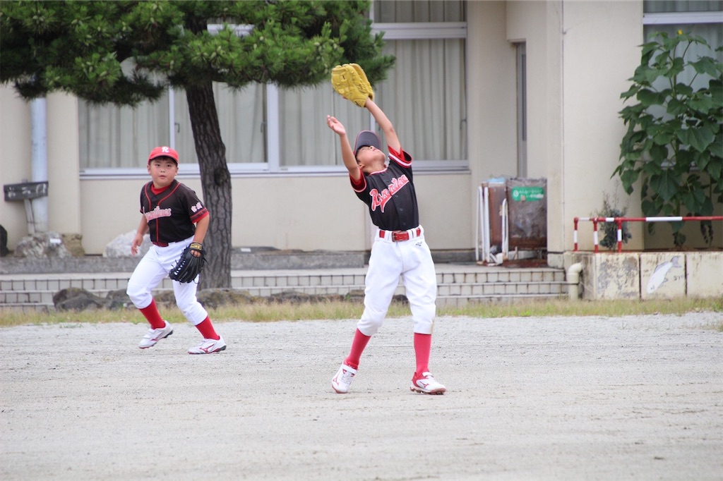 f:id:donagaojisan:20200730215204j:image